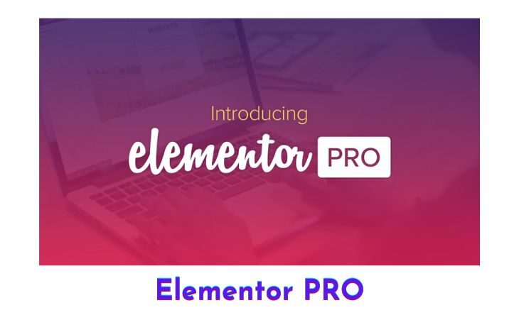 Elementor Pro Nulled